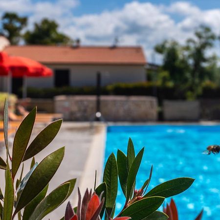 Agriturismo Il Tripesce ヴァダ エクステリア 写真