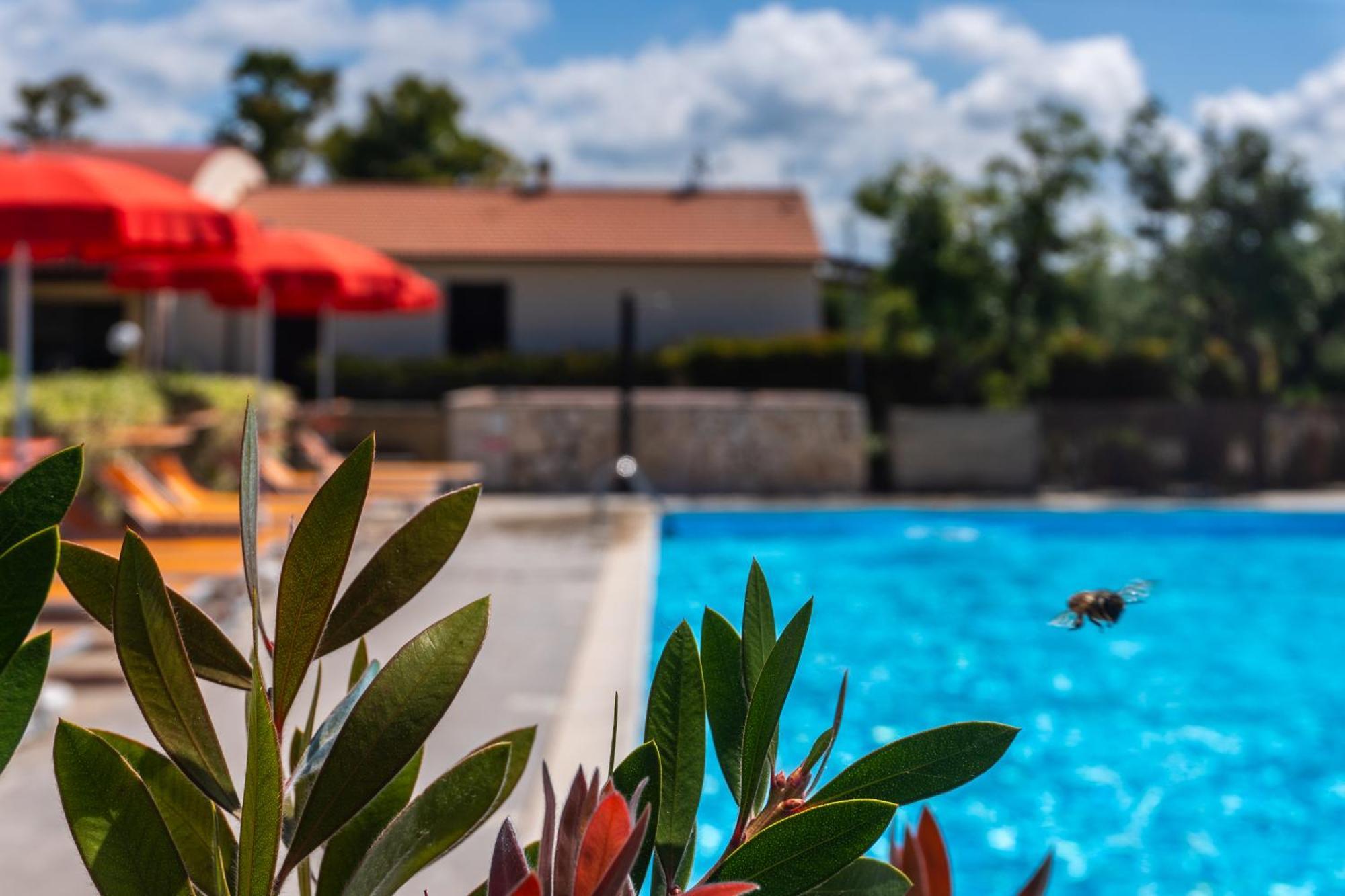 Agriturismo Il Tripesce ヴァダ エクステリア 写真