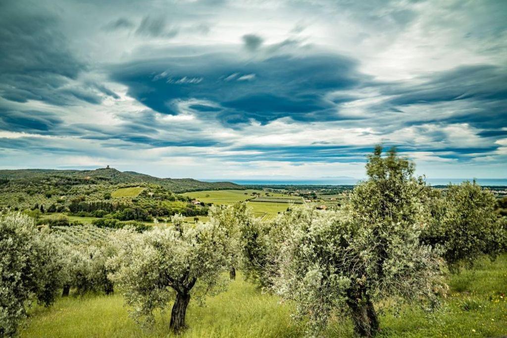 Agriturismo Il Tripesce ヴァダ エクステリア 写真