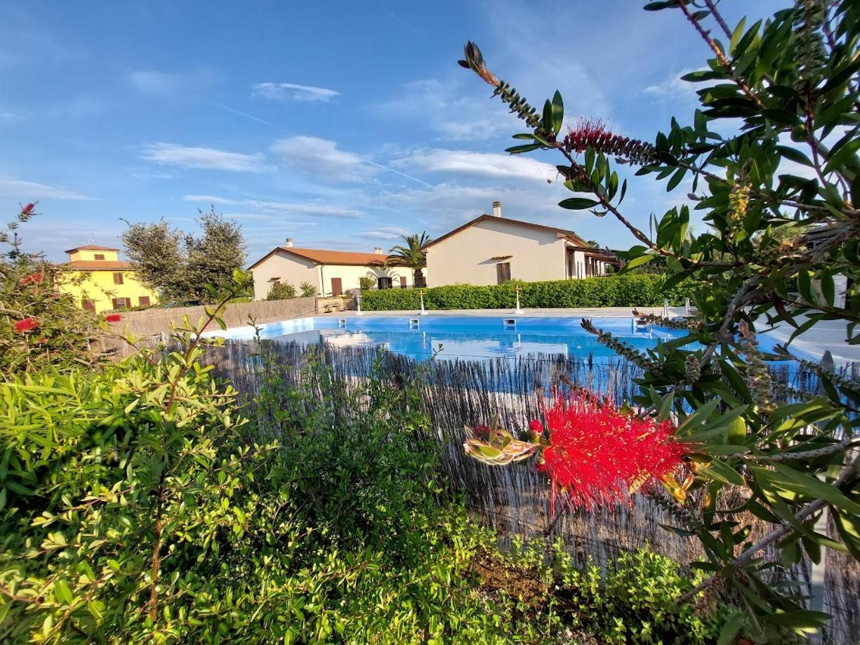 Agriturismo Il Tripesce ヴァダ エクステリア 写真